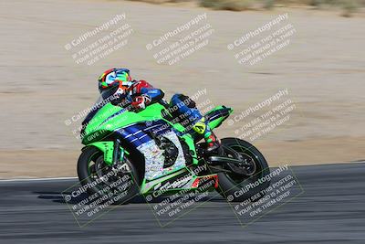 media/Feb-04-2024-SoCal Trackdays (Sun) [[91d6515b1d]]/4-Bowl Backside (11am)/